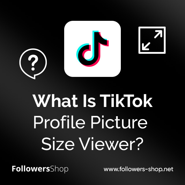 What Is TikTok Profile Picture Size Viewer?